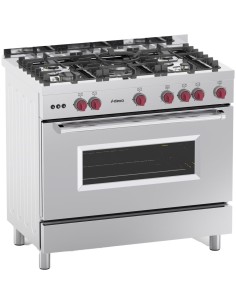 Professional Gas range Oven 7kW with 5 burners 11.4kW | Stalwart DA- Y95ND