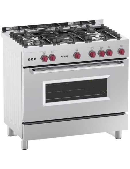 Professional Gas range Oven 7kW with 5 burners 11.4kW | Stalwart DA- Y95ND