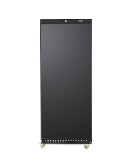 600lt Commercial Freezer Upright cabinet Black Single door | Stalwart DA-DWF600BC
