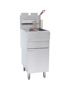 Professional Free standing Fryer Natural gas Twin tank 2x12 litres 35kW | DA-GF120T