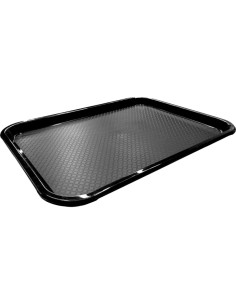 Serving Tray Polypropylene Rectangular 450x350x20 mm Black | Stwalwart DA-JGM304