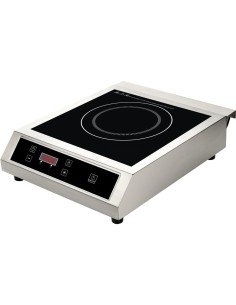 Professional-Grade Commercial Induction Cooker Push Button Control For Commercial Kitchens