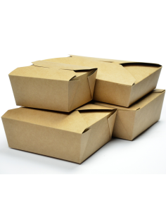 200pcs Disposable Takeaway Container 2927ml | DA-FC4 2