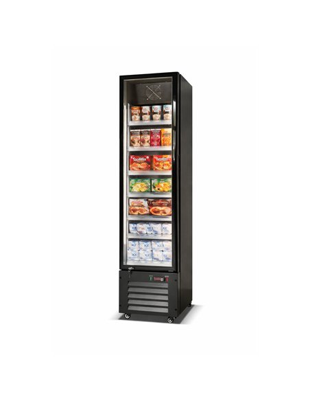 164L Single-Door Commercial Freezer 420×485×1880 mm Black| Professional CS25LKL216
