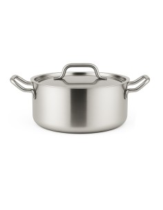 Professional Stainless Steel Stew Pot 2.8L 220mm for Commercial Kitchens