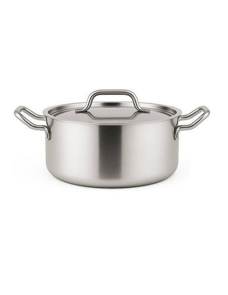 Professional Stainless Steel Stew Pot 2.8L 220mm for Commercial Kitchens