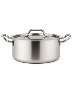 Professional Stainless Steel 3.6L Stew Pot 240mm for Commercial Kitchens