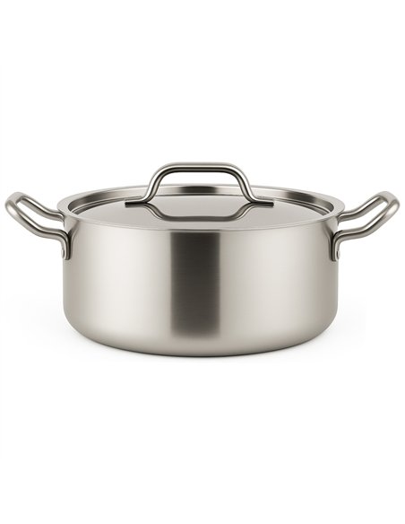 Professional Stainless Steel Stew Pot 4.5L, 260mm - Ideal for Commercial Kitchens
