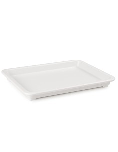 Professional Pizza Dough Storage Container, 453x325x42mm Polypropylene Box for High-Demand Kitchens 2