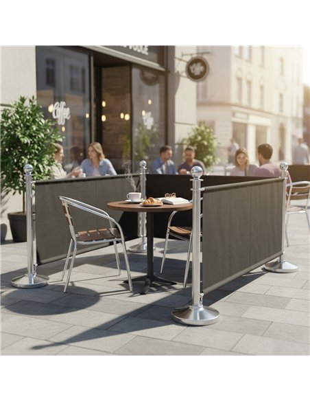 Commercial Queue Barrier Set with 2 Silver Ball Top Posts and Black Canvas Panel | Professional CS25BBP02ACB
