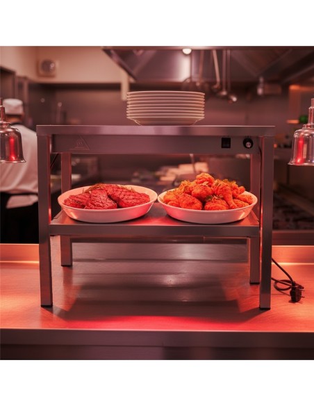 Professional Double Tier Heated Gantry with Heat Bridge 900×335×700mm for Commercial Kitchens