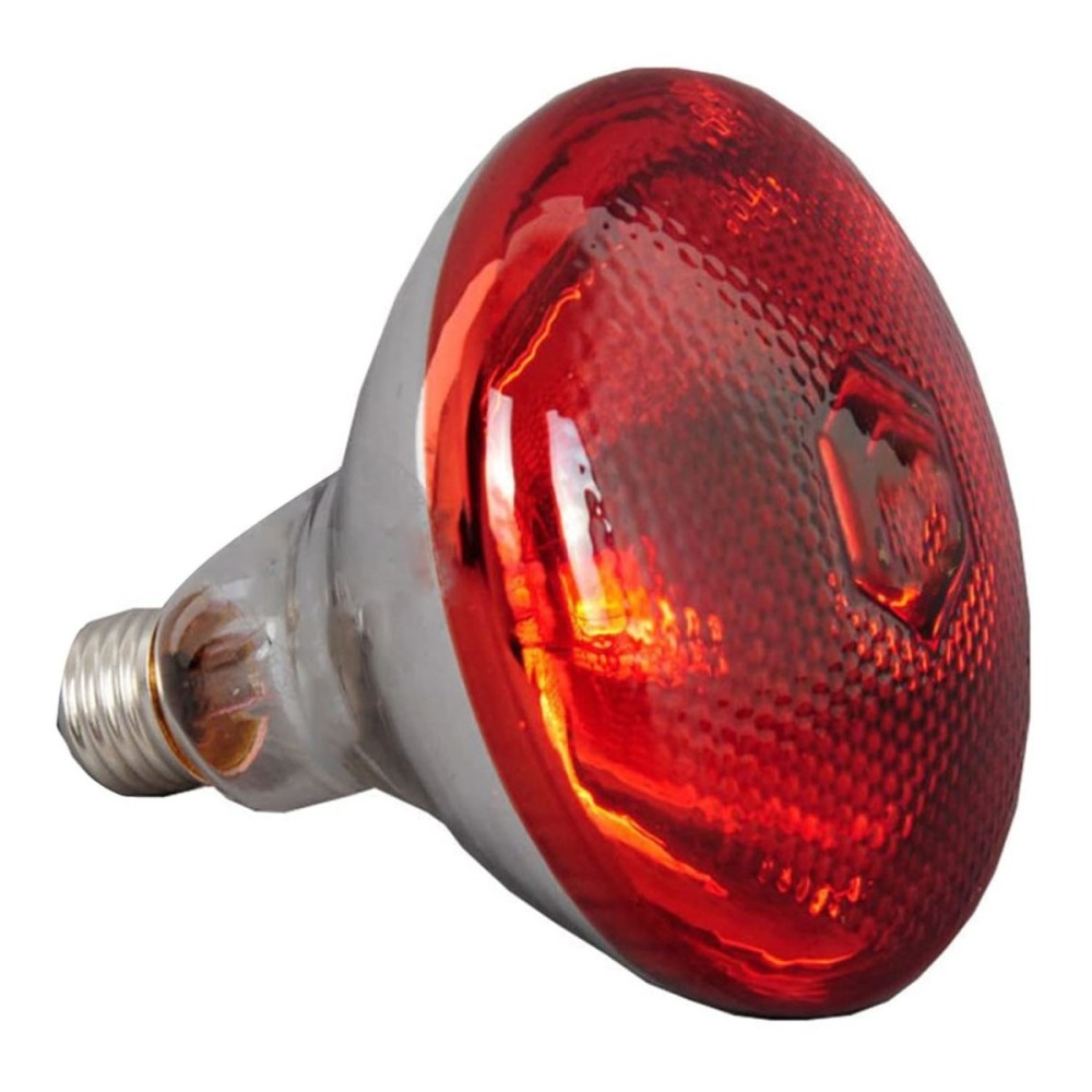 Commercial Food Warmer 2 heating lamps GN1/1 | DA-WL550