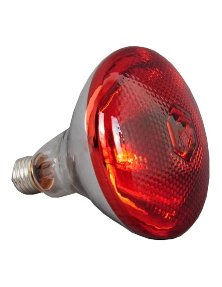 Commercial Food Warmer 2 heating lamps GN1/1 | DA-WL550