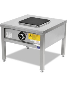 Professional Electric Stock pot stove 4kW | DA-YRE60
